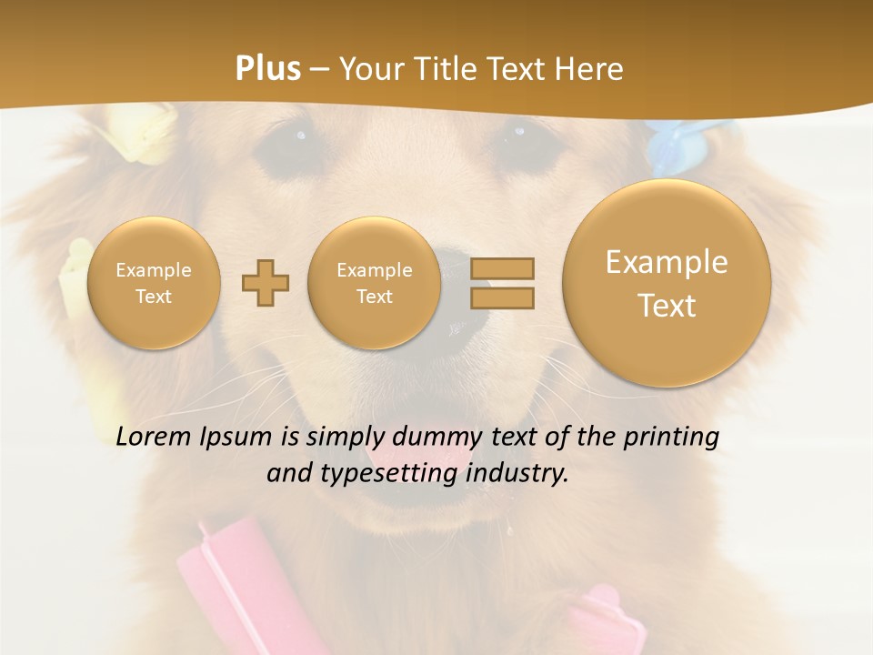 Beautiful Glamour Style PowerPoint Template