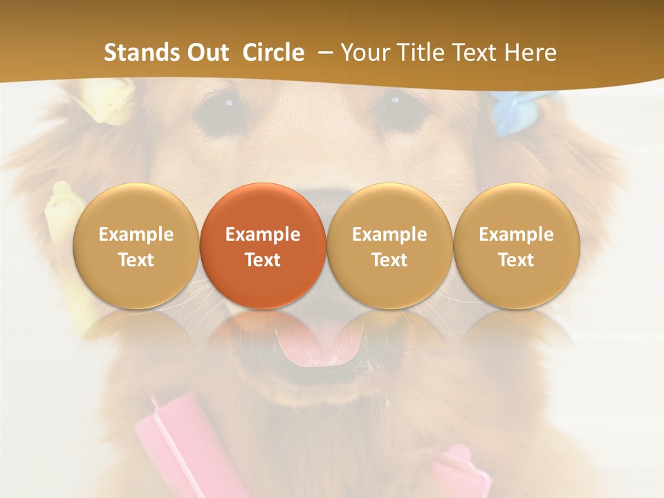 Beautiful Glamour Style PowerPoint Template