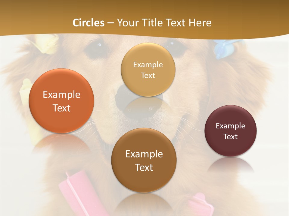 Beautiful Glamour Style PowerPoint Template
