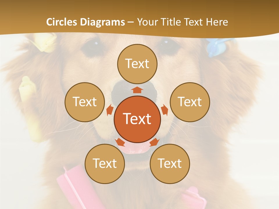 Beautiful Glamour Style PowerPoint Template