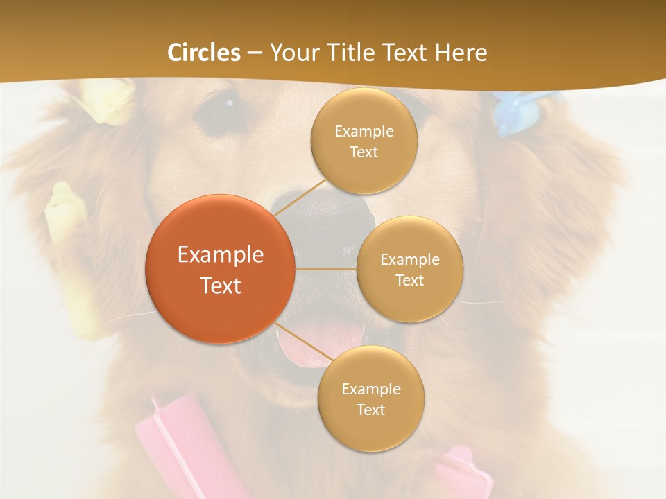 Beautiful Glamour Style PowerPoint Template