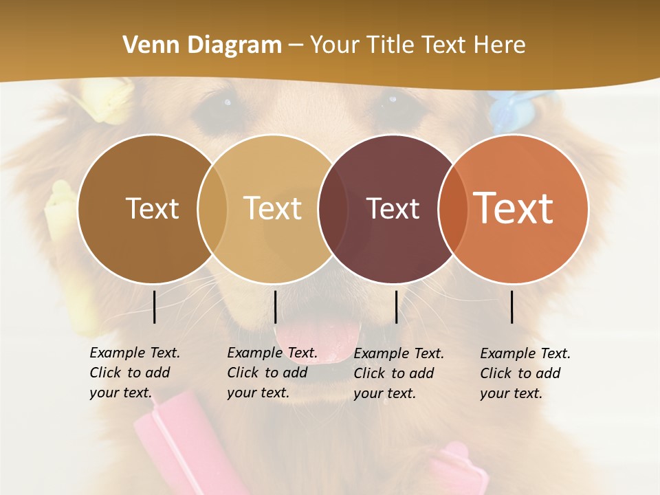 Beautiful Glamour Style PowerPoint Template