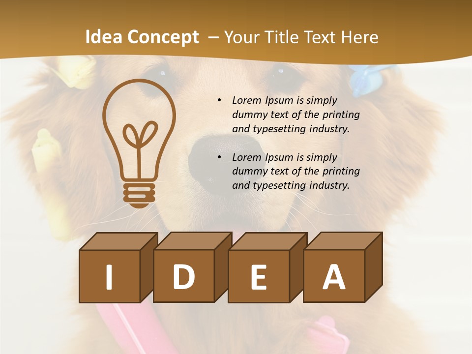 Beautiful Glamour Style PowerPoint Template