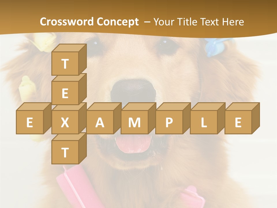 Beautiful Glamour Style PowerPoint Template