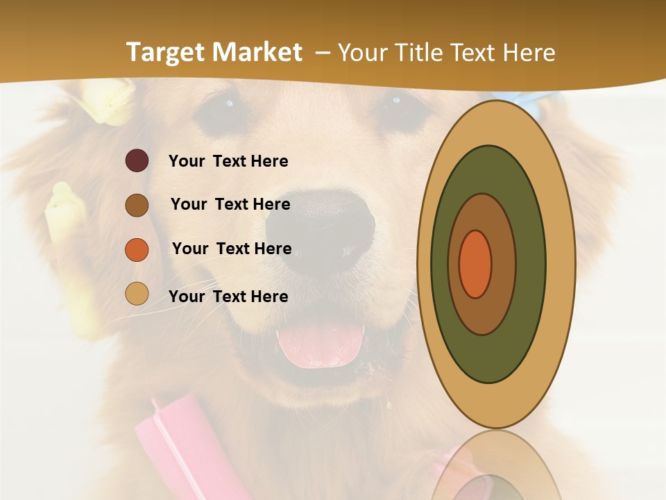 Beautiful Glamour Style PowerPoint Template