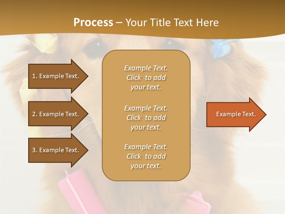 Beautiful Glamour Style PowerPoint Template