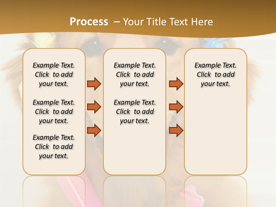 Beautiful Glamour Style PowerPoint Template