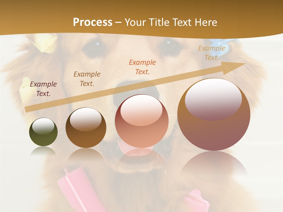 Beautiful Glamour Style PowerPoint Template