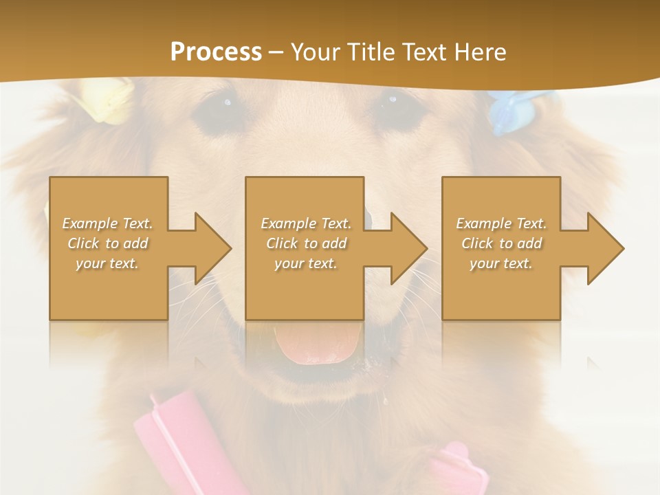 Beautiful Glamour Style PowerPoint Template