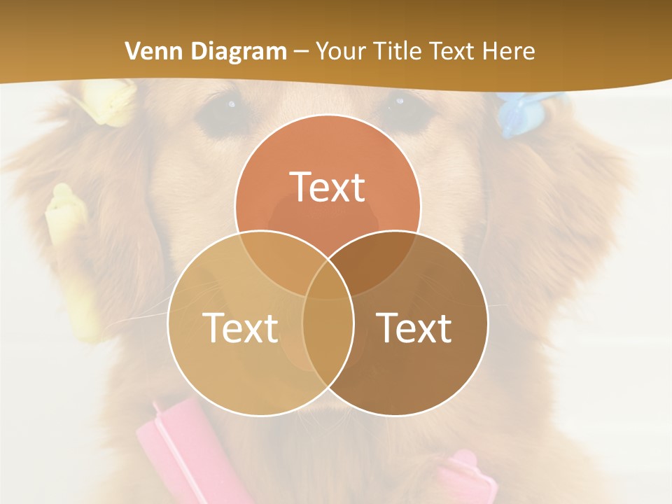 Beautiful Glamour Style PowerPoint Template