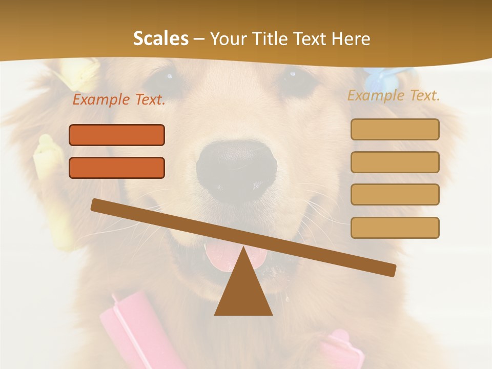 Beautiful Glamour Style PowerPoint Template