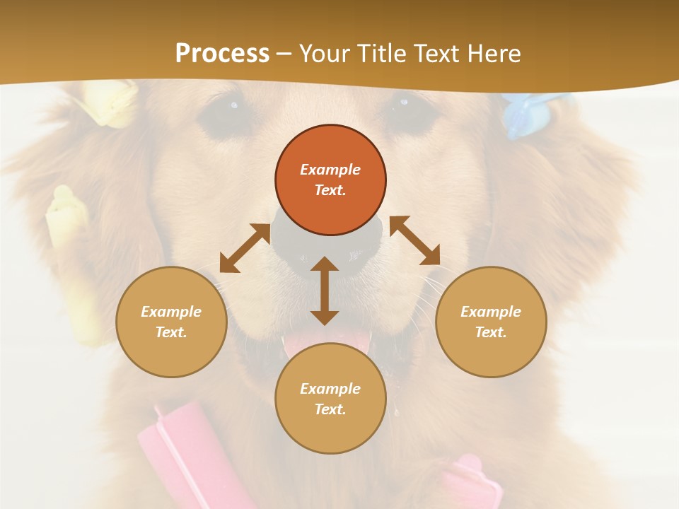 Beautiful Glamour Style PowerPoint Template