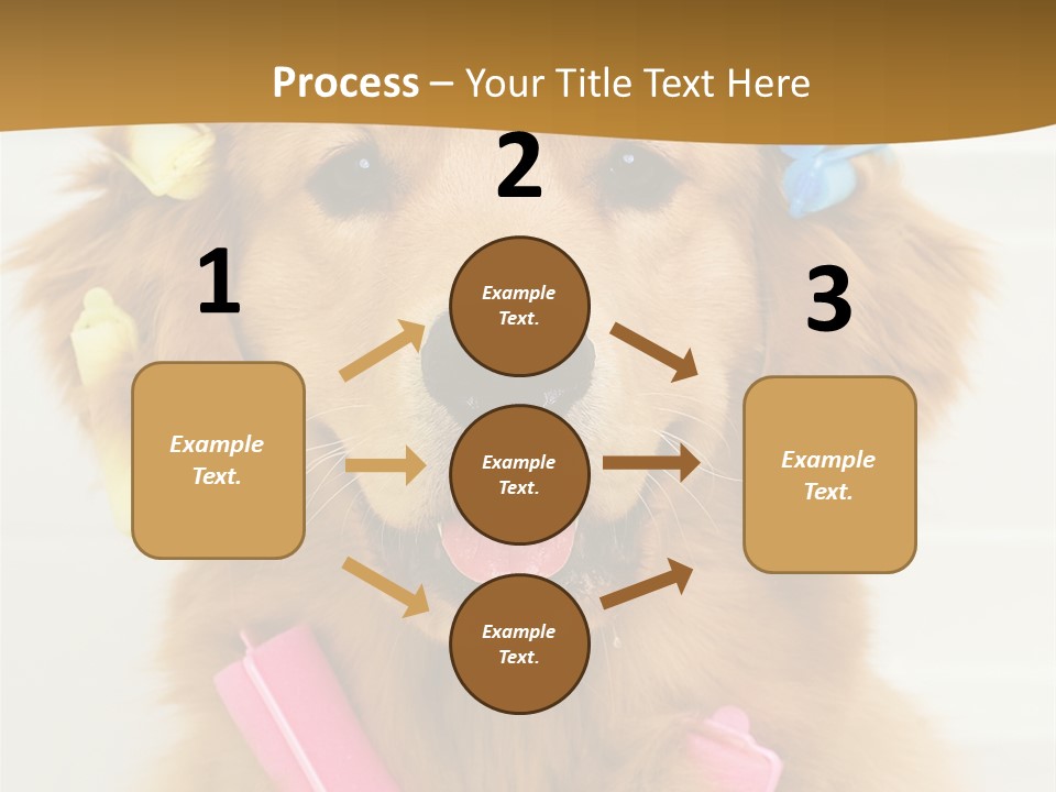 Beautiful Glamour Style PowerPoint Template