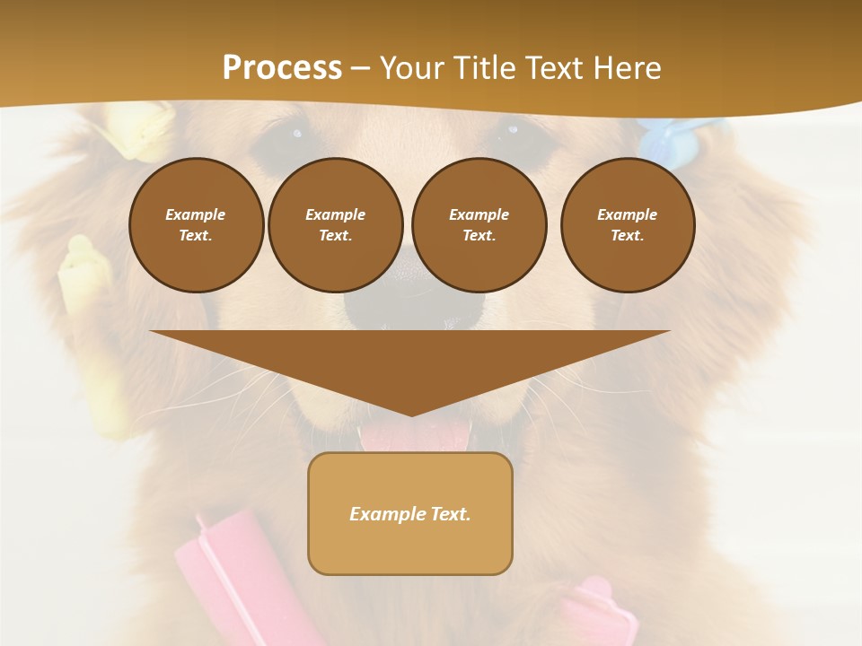 Beautiful Glamour Style PowerPoint Template