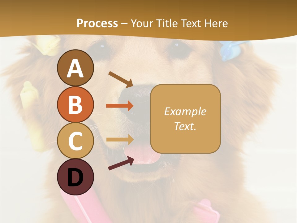 Beautiful Glamour Style PowerPoint Template