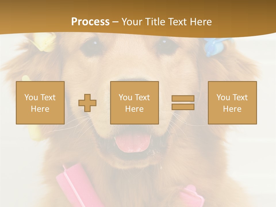 Beautiful Glamour Style PowerPoint Template