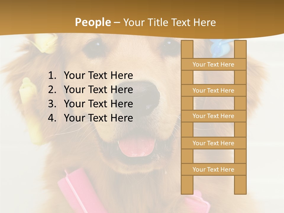 Beautiful Glamour Style PowerPoint Template