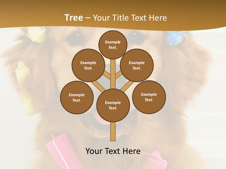 Beautiful Glamour Style PowerPoint Template