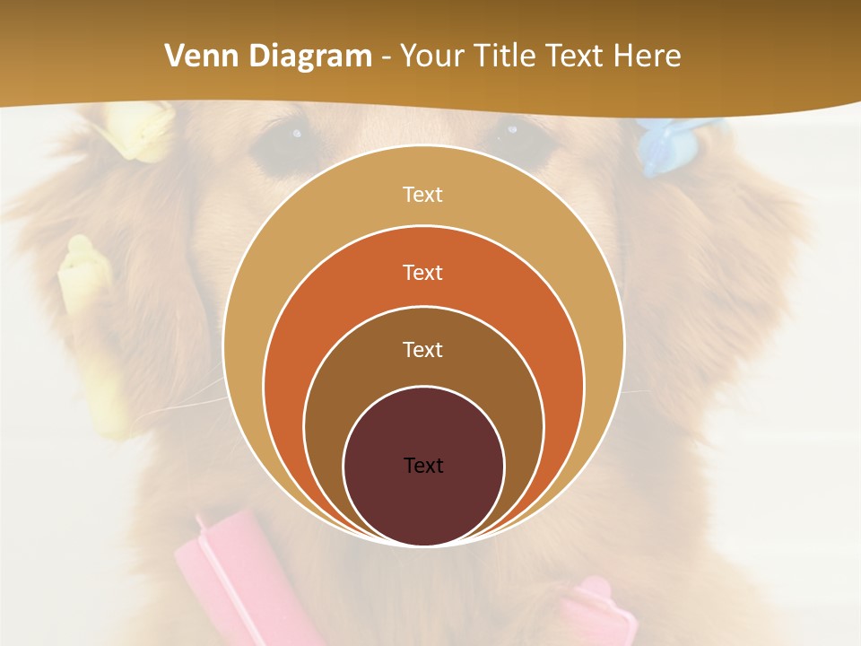 Beautiful Glamour Style PowerPoint Template