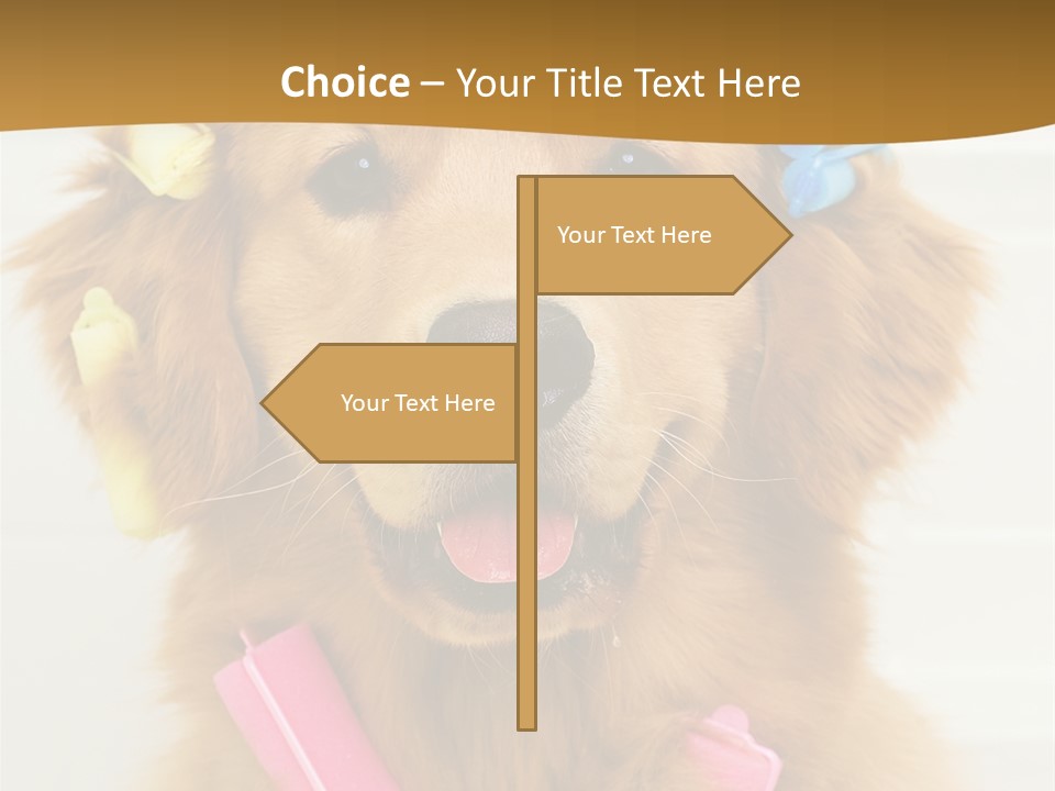 Beautiful Glamour Style PowerPoint Template