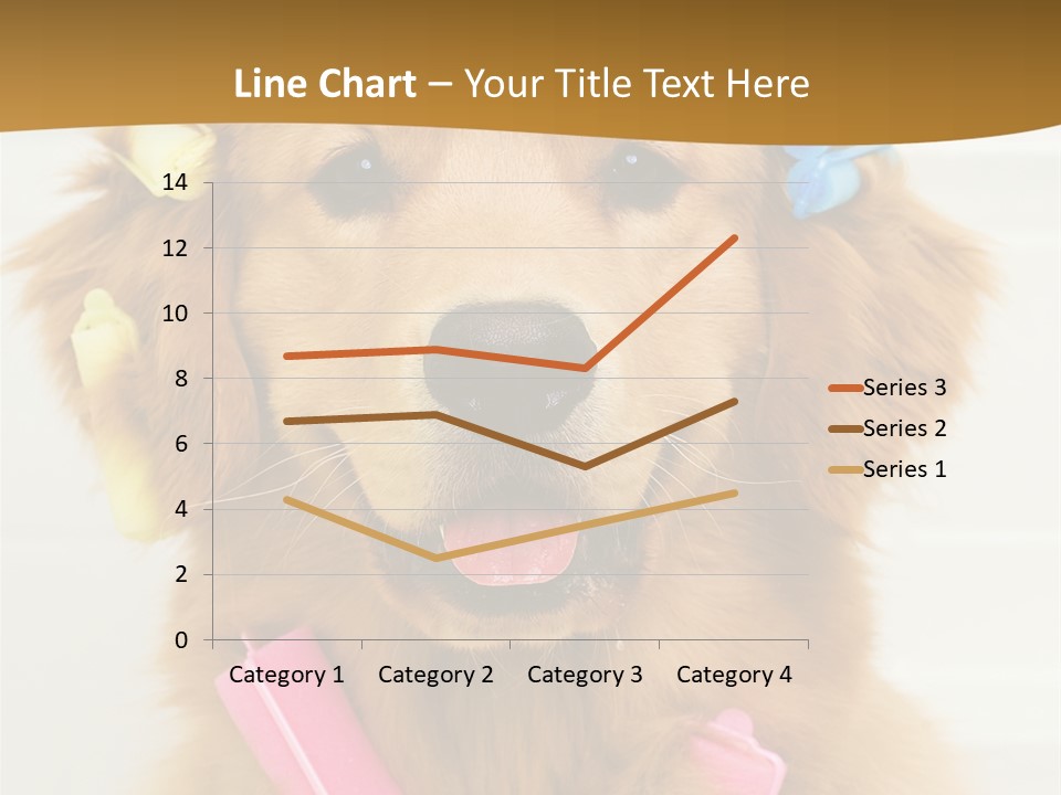 Beautiful Glamour Style PowerPoint Template
