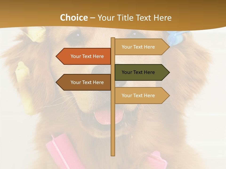 Beautiful Glamour Style PowerPoint Template