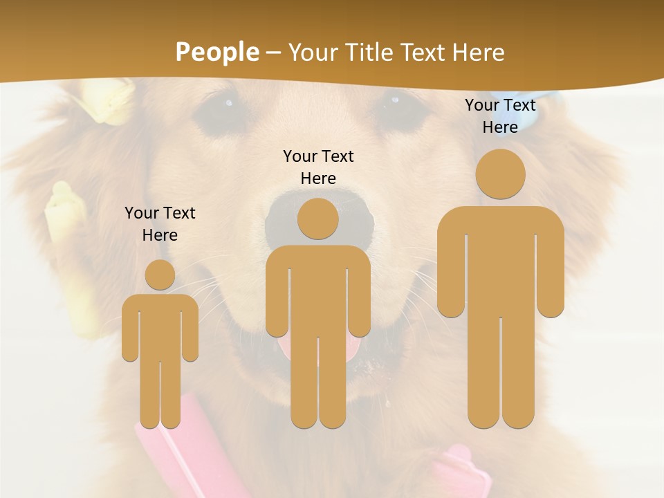 Beautiful Glamour Style PowerPoint Template