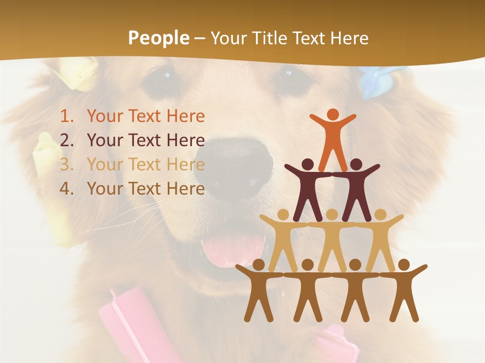 Beautiful Glamour Style PowerPoint Template