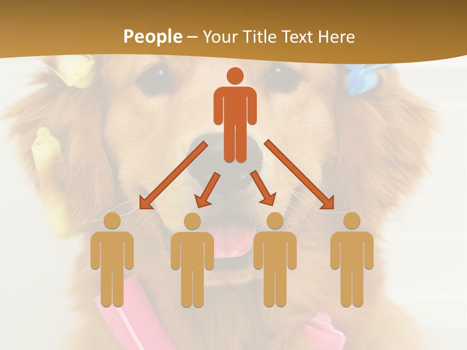 Beautiful Glamour Style PowerPoint Template