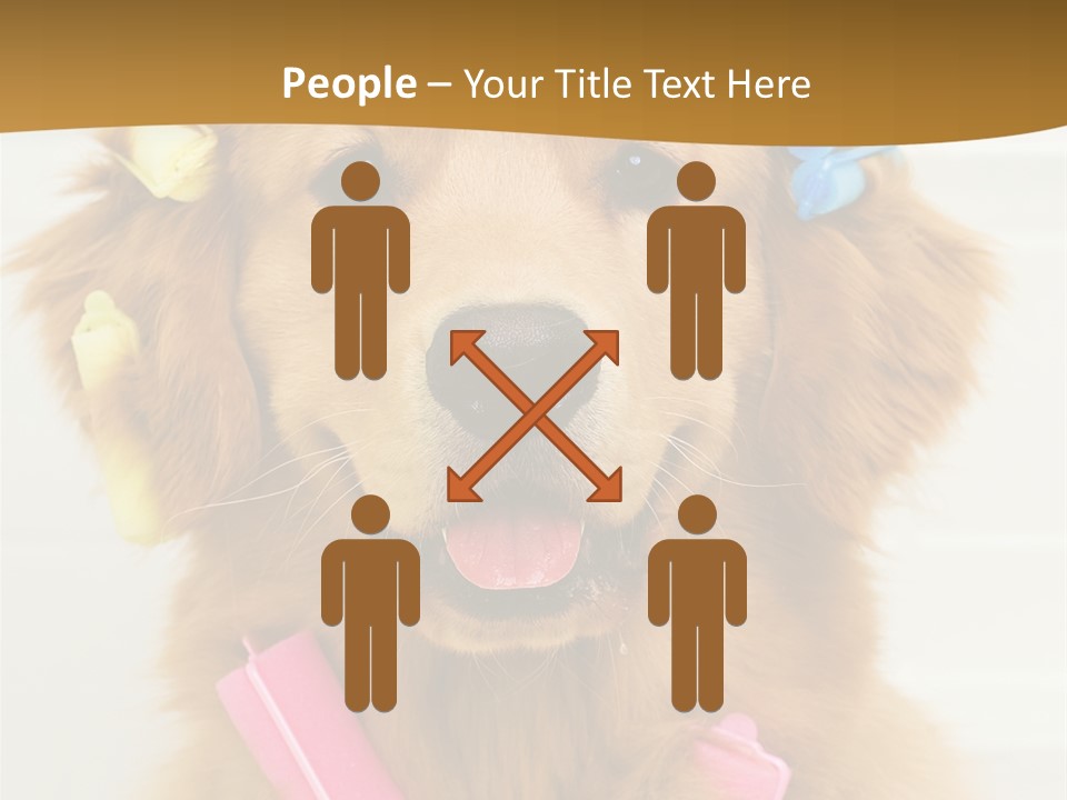 Beautiful Glamour Style PowerPoint Template