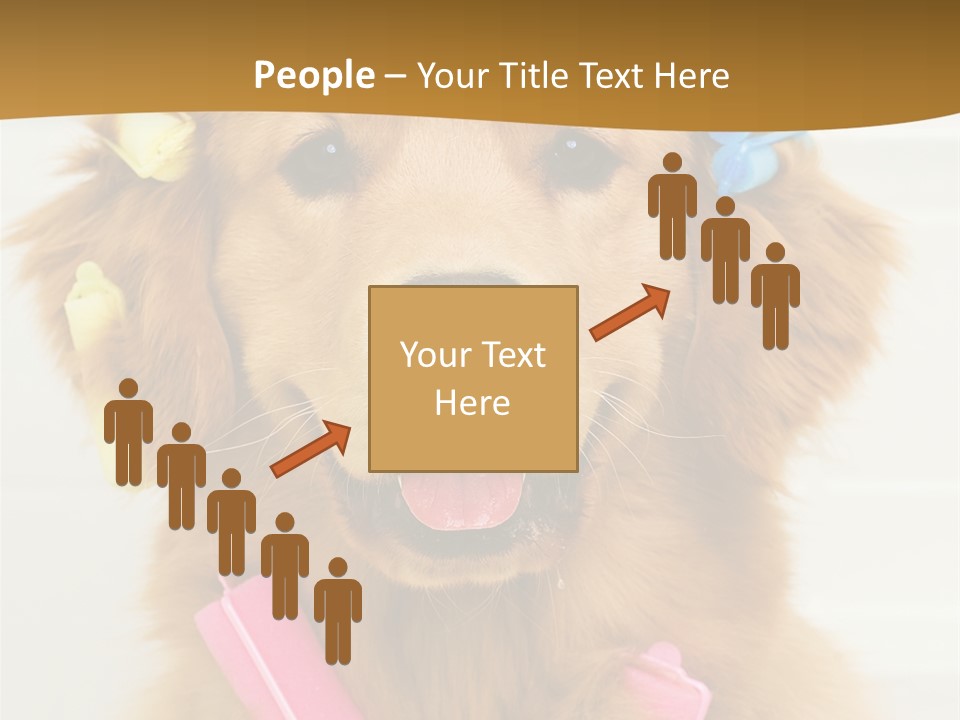 Beautiful Glamour Style PowerPoint Template