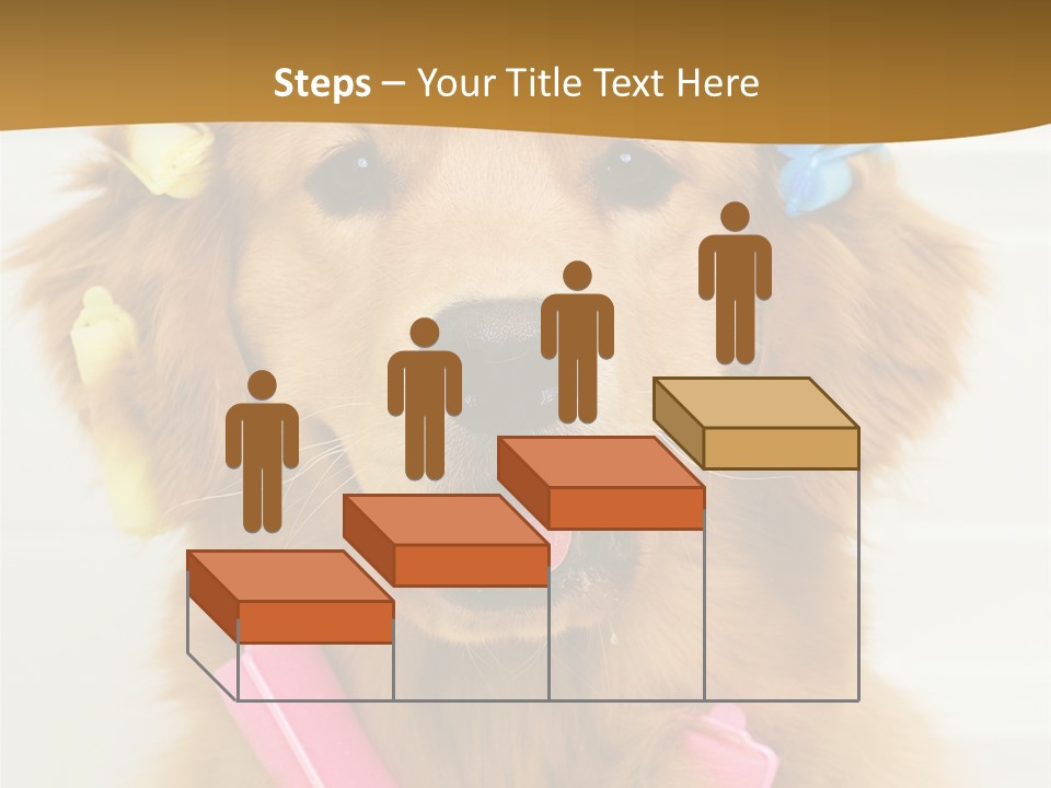 Beautiful Glamour Style PowerPoint Template