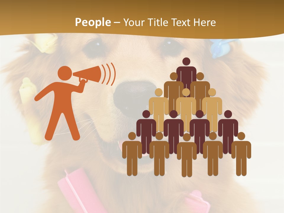 Beautiful Glamour Style PowerPoint Template