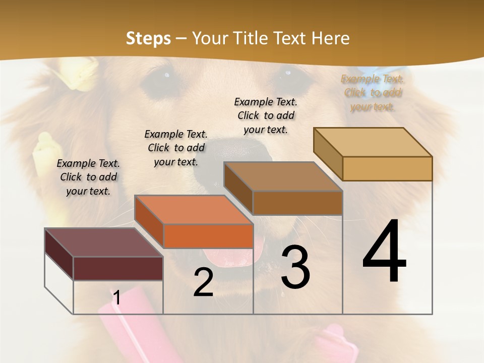 Beautiful Glamour Style PowerPoint Template