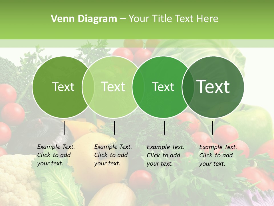 Store Objects Collection PowerPoint Template