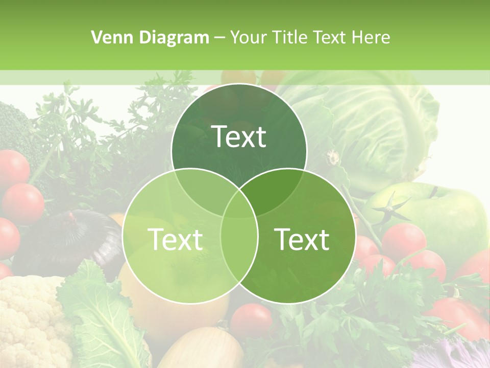 Store Objects Collection PowerPoint Template