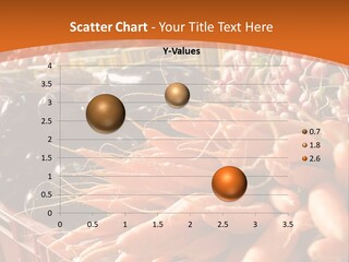 Carrots Supply Market PowerPoint Template