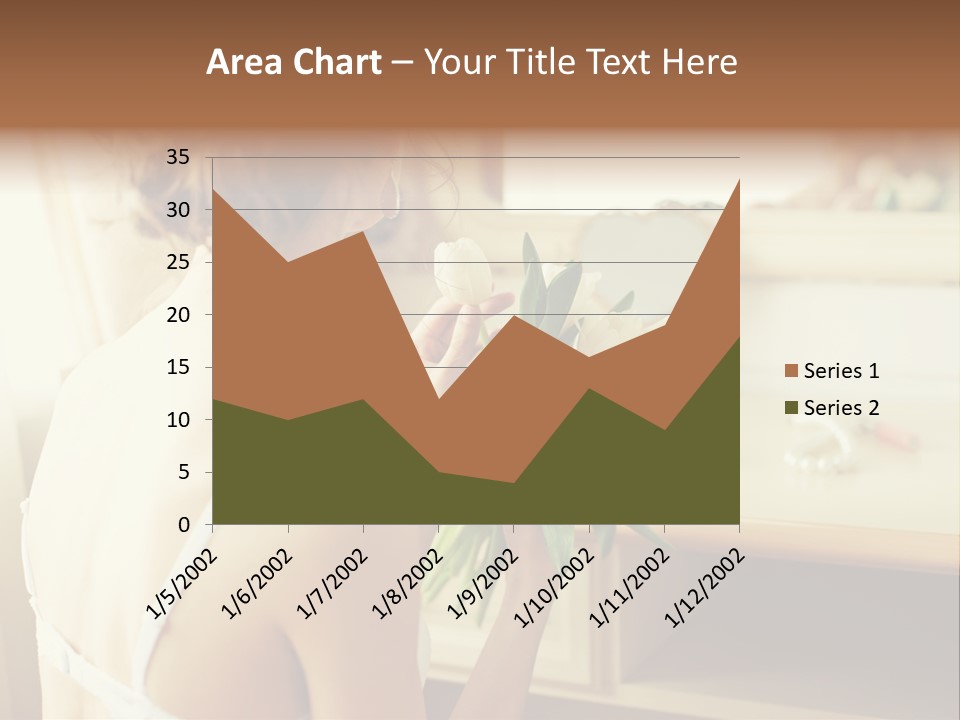 Person Stylish Bride PowerPoint Template