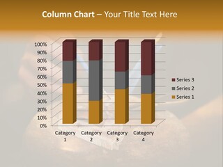 Hard Old Dirty PowerPoint Template