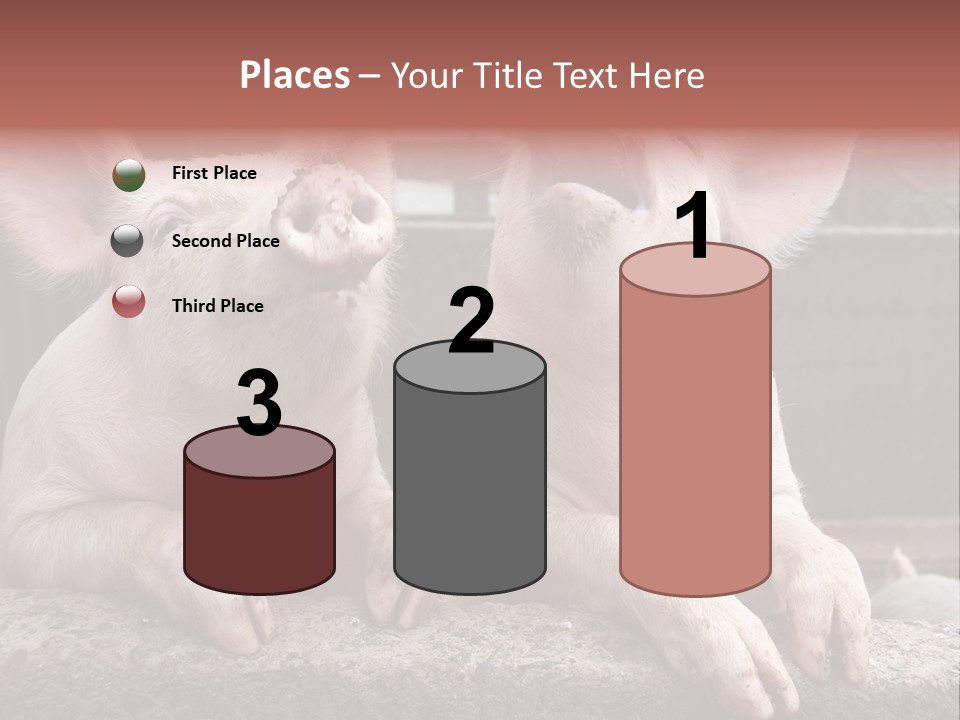 Two Pigs Sitting Next To Each Other With Their Mouths Open PowerPoint Template