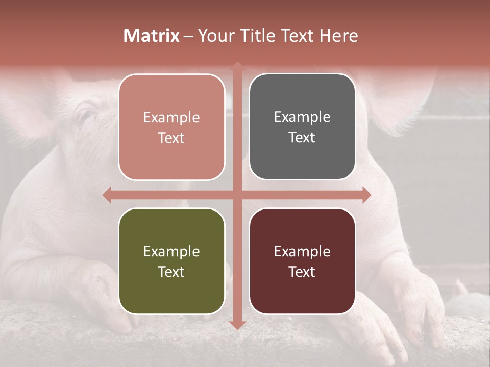 Two Pigs Sitting Next To Each Other With Their Mouths Open PowerPoint Template
