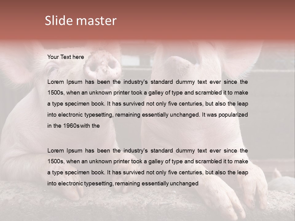 Two Pigs Sitting Next To Each Other With Their Mouths Open PowerPoint Template