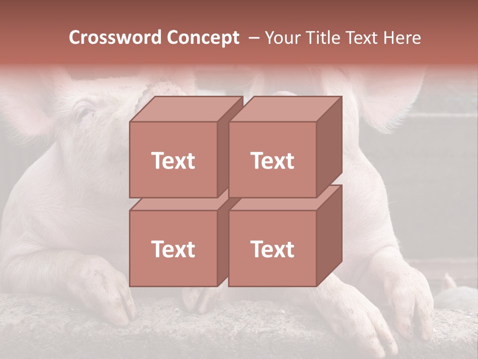 Two Pigs Sitting Next To Each Other With Their Mouths Open PowerPoint Template