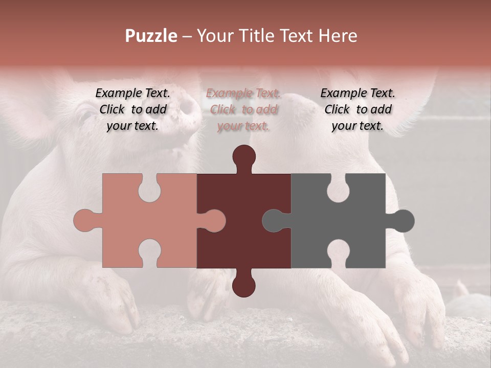 Two Pigs Sitting Next To Each Other With Their Mouths Open PowerPoint Template