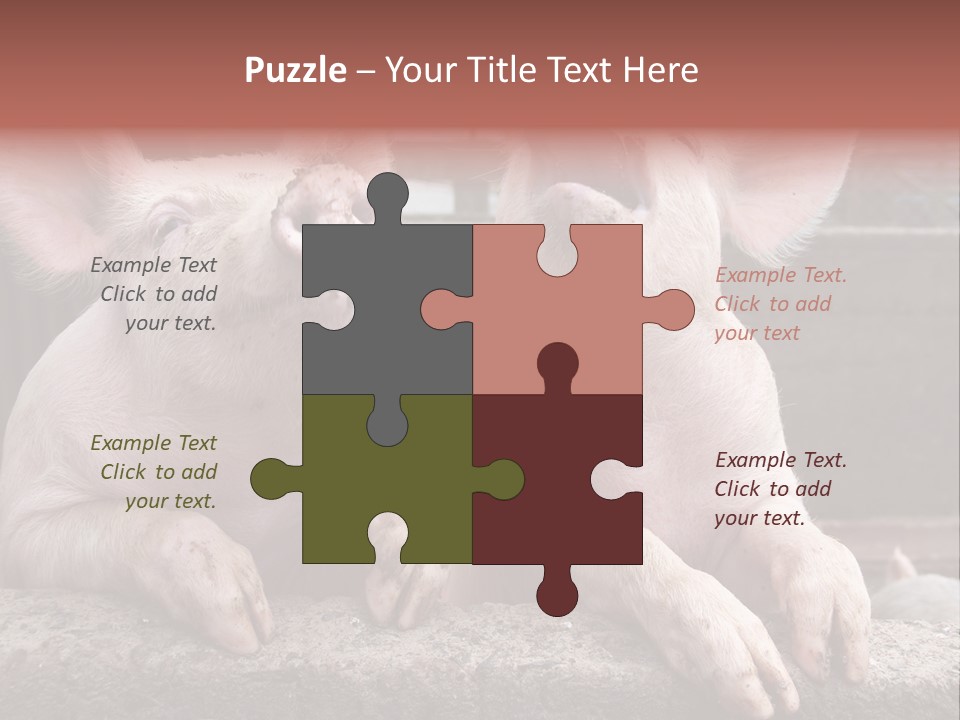 Two Pigs Sitting Next To Each Other With Their Mouths Open PowerPoint Template
