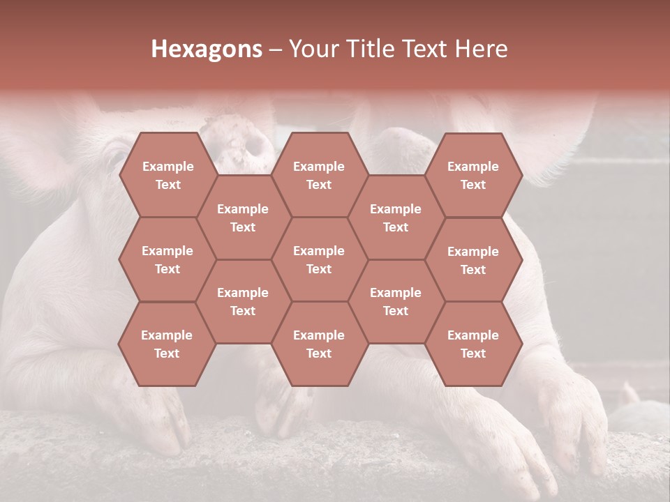 Two Pigs Sitting Next To Each Other With Their Mouths Open PowerPoint Template