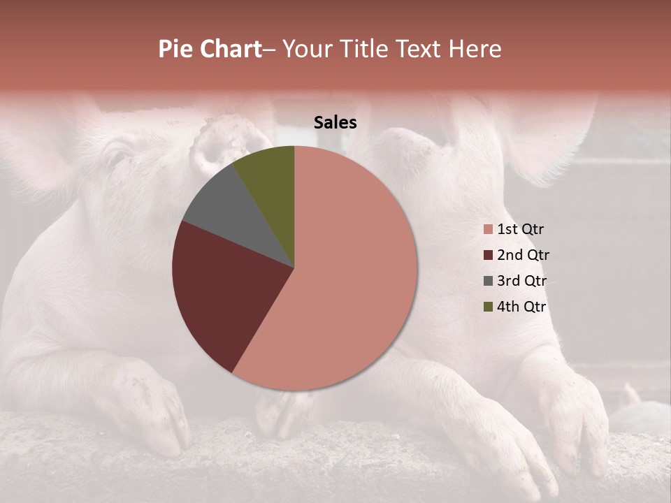Two Pigs Sitting Next To Each Other With Their Mouths Open PowerPoint Template