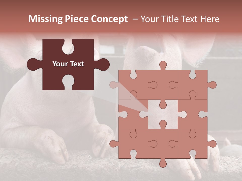 Two Pigs Sitting Next To Each Other With Their Mouths Open PowerPoint Template