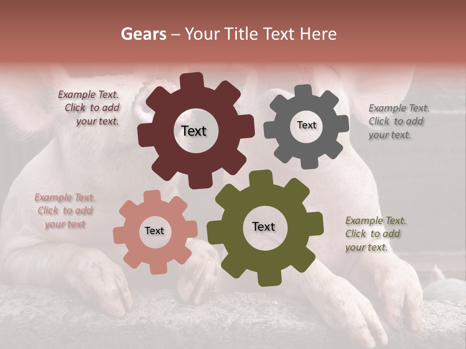 Two Pigs Sitting Next To Each Other With Their Mouths Open PowerPoint Template