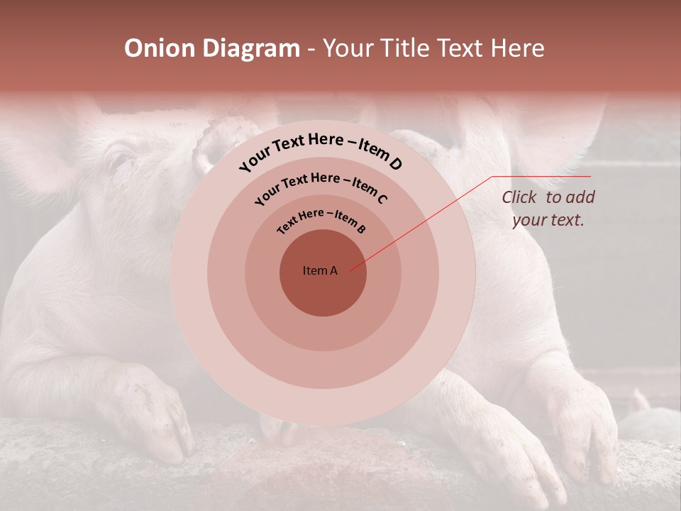 Two Pigs Sitting Next To Each Other With Their Mouths Open PowerPoint Template
